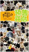 奥斯卡双提名动画电影《猫猫的奇幻漂流》曝海